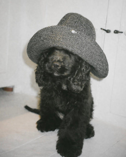 The Bella hat: Animals in the city.