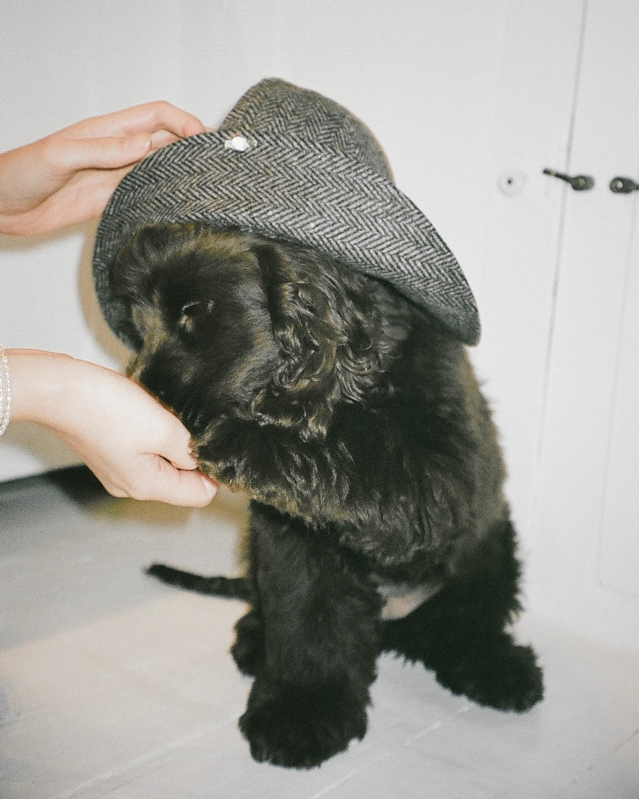 The Bella hat: Animals in the city.