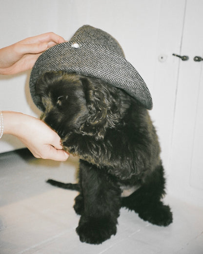 The Bella hat: Animals in the city.