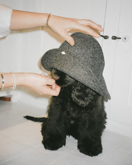 The Bella hat: Animals in the city.