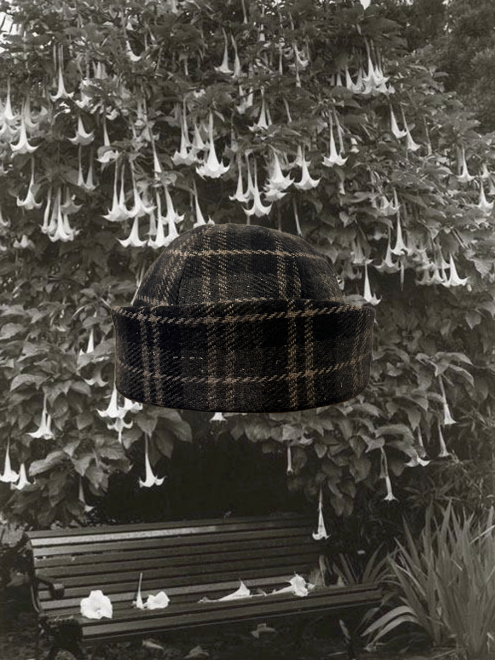 Edith, Forest In The City.