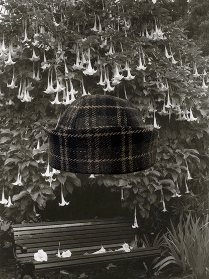 Edith, Forest In The City.